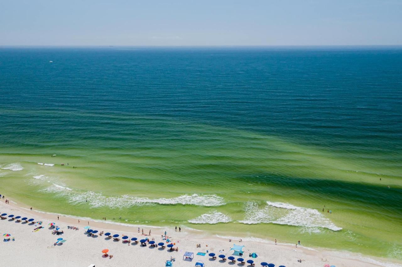 Sunset Spring Break Special ! Apartman Gulf Shores Kültér fotó